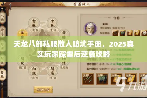 天龙八部私服散人防坑手册,2025真实玩家踩雷后逆袭攻略 天龙八部私服散人防坑手册,2025真实玩家踩雷后逆袭攻略