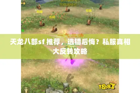 天龙八部sf 推荐,选错后悔?私服真相大反转攻略 天龙八部sf 推荐,选错后悔?私服真相大反转攻略