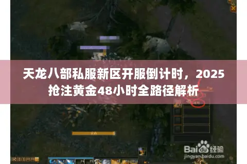 天龙八部私服新区开服倒计时,2025抢注黄金48小时全路径解析 天龙八部私服新区开服倒计时,2025抢注黄金48小时全路径解析