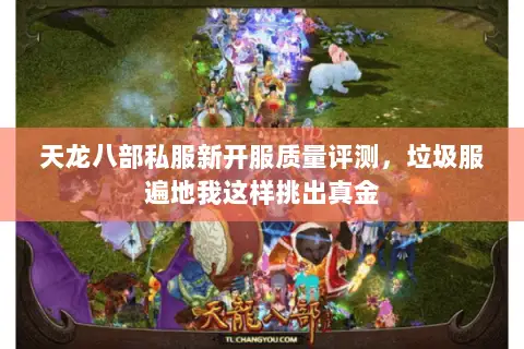天龙八部私服新开服质量评测，垃圾服遍地我这样挑出真金