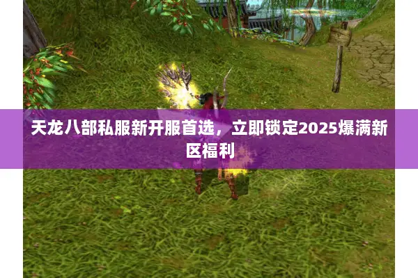 天龙八部私服新开服首选，立即锁定2025爆满新区福利