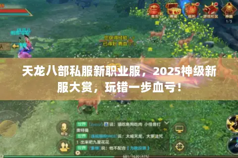 天龙八部私服新职业服，2025神级新服大赏，玩错一步血亏！