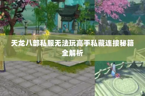 天龙八部私服无法玩高手私藏连接秘籍全解析