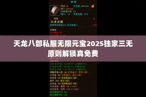 天龙八部私服无限元宝2025独家三无原则解锁真免费