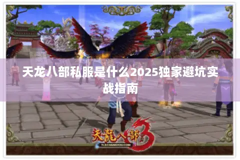 天龙八部私服是什么2025独家避坑实战指南 天龙八部私服是什么2025独家避坑实战指南
