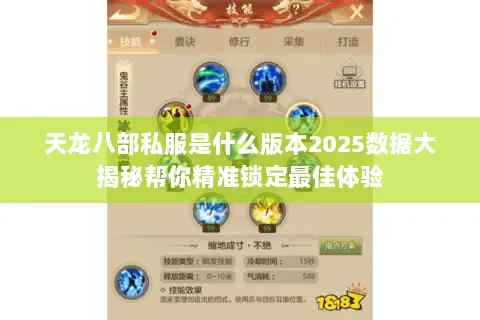 天龙八部私服是什么版本2025数据大揭秘帮你精准锁定最佳体验