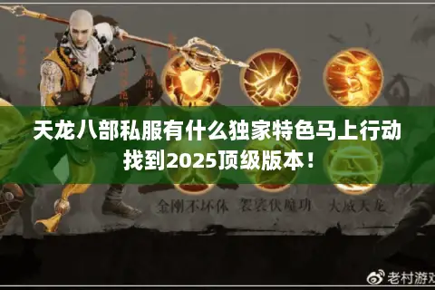天龙八部私服有什么独家特色马上行动找到2025顶级版本！