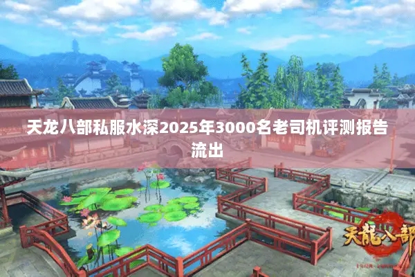 天龙八部私服水深2025年3000名老司机评测报告流出