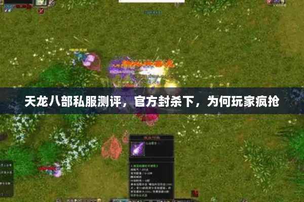 天龙八部私服测评,官方封杀下,为何玩家疯抢 天龙八部私服测评,官方封杀下,为何玩家疯抢