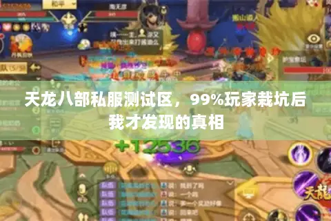 天龙八部私服测试区，99%玩家栽坑后我才发现的真相