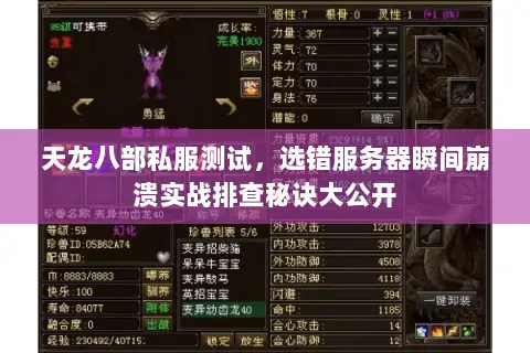 天龙八部私服测试，选错服务器瞬间崩溃实战排查秘诀大公开