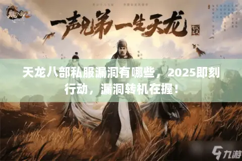 天龙八部私服漏洞有哪些，2025即刻行动，漏洞转机在握！