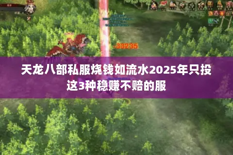 天龙八部私服烧钱如流水2025年只投这3种稳赚不赔的服