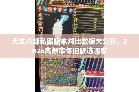 天龙八部私服版本对比数据大公开，2025高爆率怀旧版选哪家