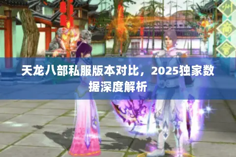 天龙八部私服版本对比，2025独家数据深度解析