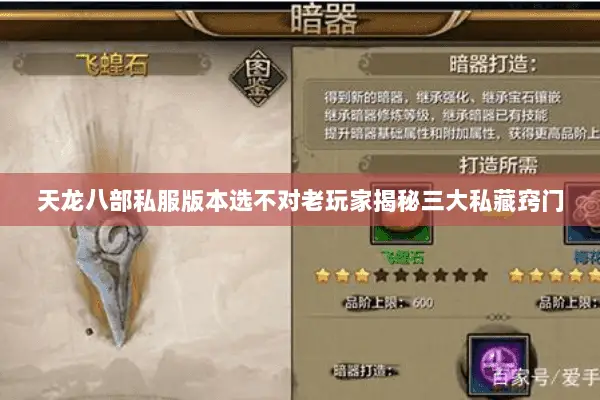 天龙八部私服版本选不对老玩家揭秘三大私藏窍门 天龙八部私服版本选不对老玩家揭秘三大私藏窍门