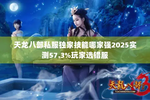 天龙八部私服独家技能哪家强2025实测57.3%玩家选错服 天龙八部私服独家技能哪家强2025实测57.3%玩家选错服