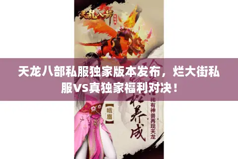 天龙八部私服独家版本发布,烂大街私服VS真独家福利对决! 天龙八部私服独家版本发布,烂大街私服VS真独家福利对决!