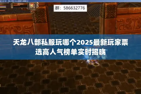 天龙八部私服玩哪个2025最新玩家票选高人气榜单实时揭晓 天龙八部私服玩哪个2025最新玩家票选高人气榜单实时揭晓