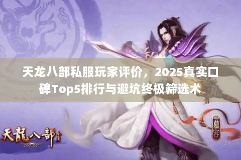 天龙八部私服玩家评价，2025真实口碑Top5排行与避坑终极筛选术