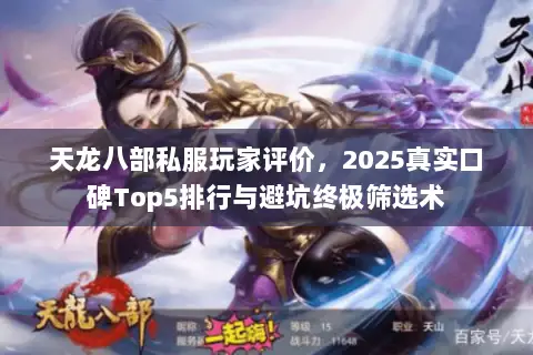 天龙八部私服玩家评价，2025真实口碑Top5排行与避坑终极筛选术