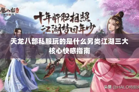 天龙八部私服玩的是什么另类江湖三大核心快感指南 天龙八部私服玩的是什么另类江湖三大核心快感指南