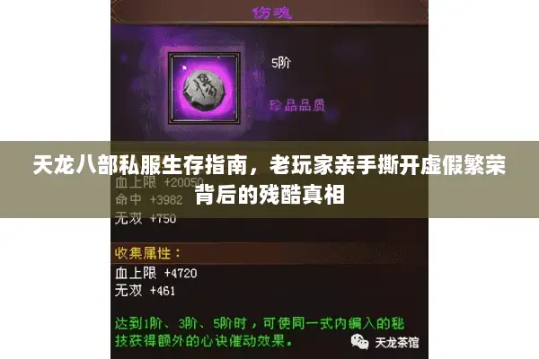 天龙八部私服生存指南,老玩家亲手撕开虚假繁荣背后的残酷真相 天龙八部私服生存指南,老玩家亲手撕开虚假繁荣背后的残酷真相