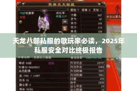 天龙八部私服的歌玩家必读,2025年私服安全对比终极报告 天龙八部私服的歌玩家必读,2025年私服安全对比终极报告