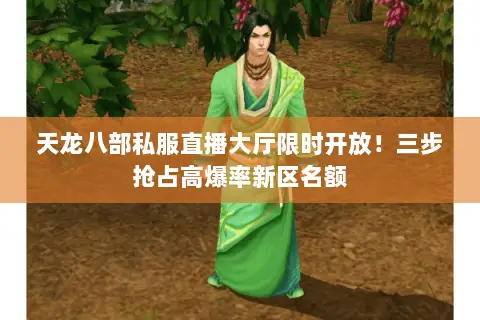 天龙八部私服直播大厅限时开放！三步抢占高爆率新区名额