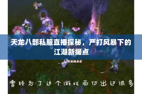 天龙八部私服直播探秘，严打风暴下的江湖新据点