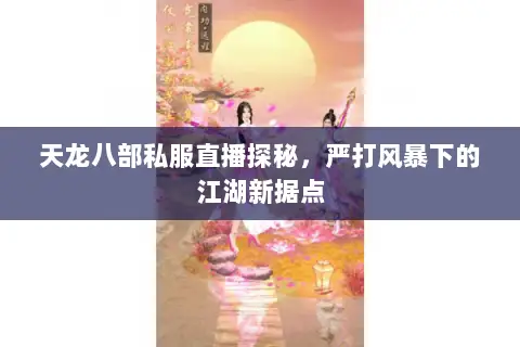 天龙八部私服直播探秘，严打风暴下的江湖新据点