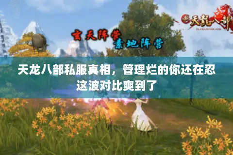 天龙八部私服真相,管理烂的你还在忍这波对比爽到了 天龙八部私服真相,管理烂的你还在忍这波对比爽到了
