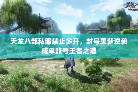 天龙八部私服禁止多开，封号噩梦逆袭成单账号王者之道