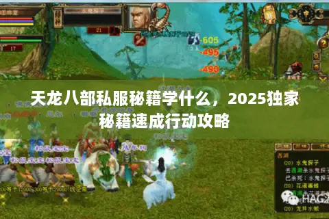 天龙八部私服秘籍学什么,2025独家秘籍速成行动攻略 天龙八部私服秘籍学什么,2025独家秘籍速成行动攻略
