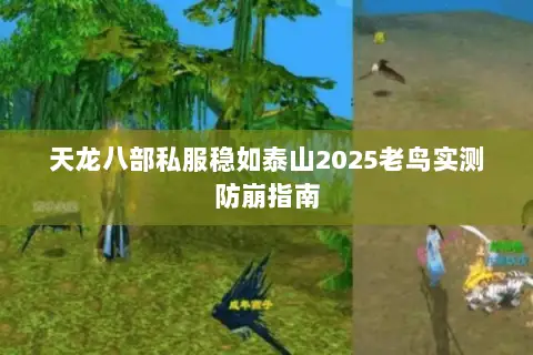 天龙八部私服稳如泰山2025老鸟实测防崩指南 天龙八部私服稳如泰山2025老鸟实测防崩指南