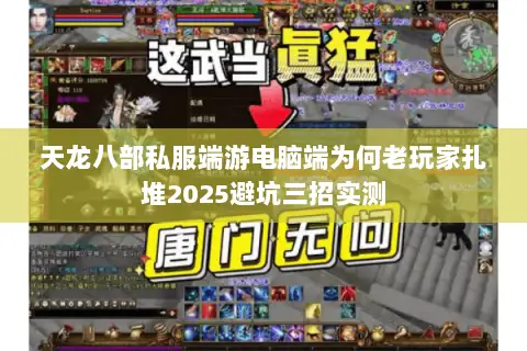 天龙八部私服端游电脑端为何老玩家扎堆2025避坑三招实测