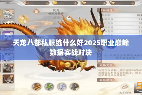 天龙八部私服练什么好2025职业巅峰数据实战对决