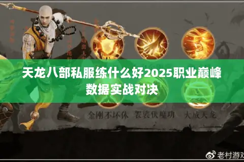 天龙八部私服练什么好2025职业巅峰数据实战对决