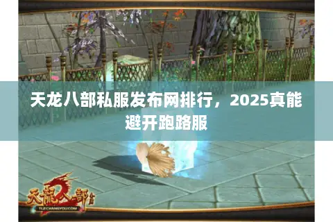 天龙八部私服发布网排行,2025真能避开跑路服 天龙八部私服发布网排行,2025真能避开跑路服
