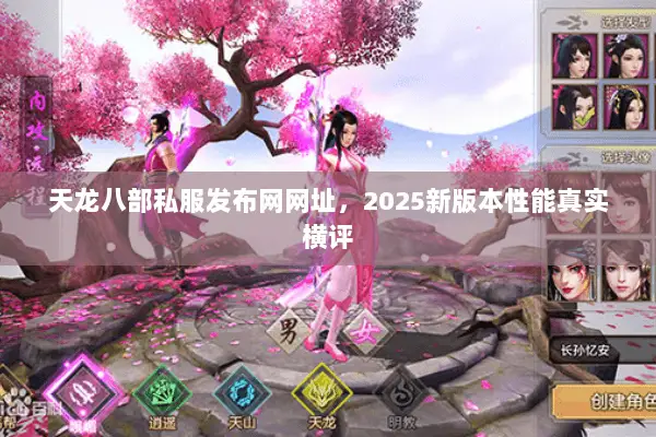 天龙八部私服发布网网址，2025新版本性能真实横评
