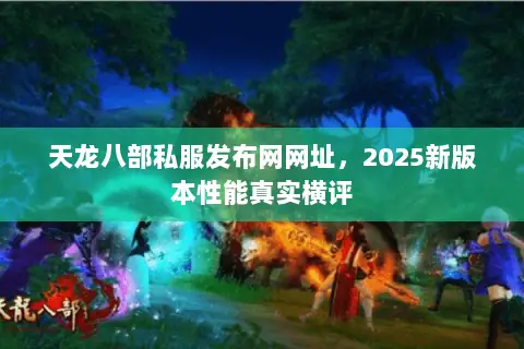 天龙八部私服发布网网址，2025新版本性能真实横评