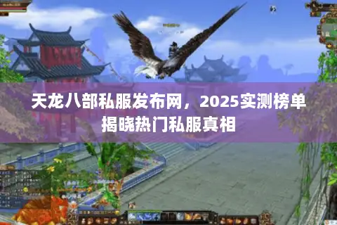 天龙八部私服发布网，2025实测榜单揭晓热门私服真相