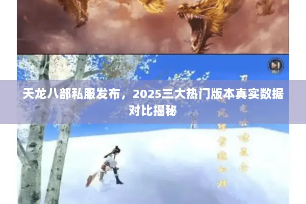 天龙八部私服发布,2025三大热门版本真实数据对比揭秘 天龙八部私服发布,2025三大热门版本真实数据对比揭秘