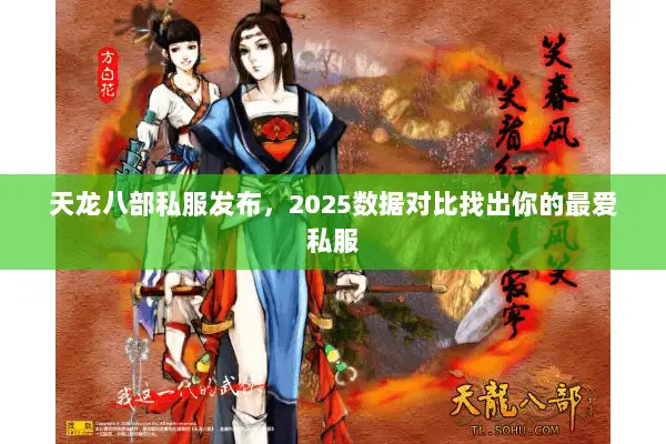 天龙八部私服发布，2025数据对比找出你的最爱私服