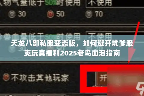 天龙八部私服变态版,如何避开坑爹服爽玩真福利2025老鸟血泪指南 天龙八部私服变态版,如何避开坑爹服爽玩真福利2025老鸟血泪指南
