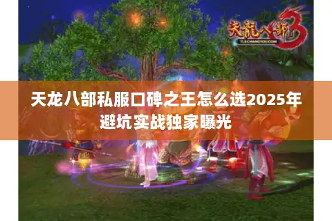 天龙八部私服口碑之王怎么选2025年避坑实战独家曝光 天龙八部私服口碑之王怎么选2025年避坑实战独家曝光