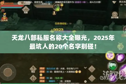 天龙八部私服名称大全曝光,2025年最坑人的20个名字别碰! 天龙八部私服名称大全曝光,2025年最坑人的20个名字别碰!