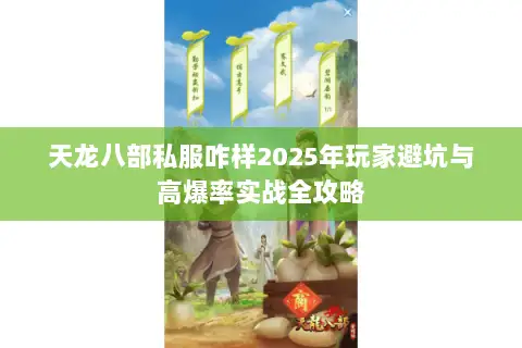 天龙八部私服咋样2025年玩家避坑与高爆率实战全攻略 天龙八部私服咋样2025年玩家避坑与高爆率实战全攻略