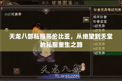 天龙八部私服哥伦比亚,从绝望到天堂的私服重生之路 天龙八部私服哥伦比亚,从绝望到天堂的私服重生之路