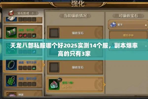 天龙八部私服哪个好2025实测14个服,副本爆率高的只有3家 天龙八部私服哪个好2025实测14个服,副本爆率高的只有3家